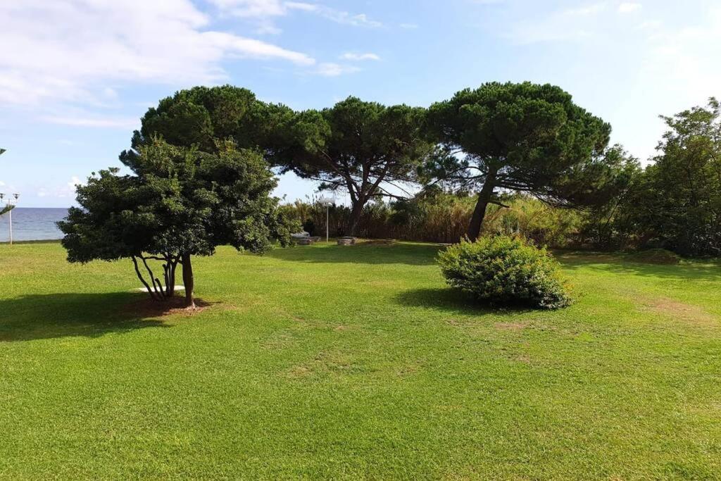 Studio bord de mer - Piscine - Plage San-Nicolao Esterno foto
