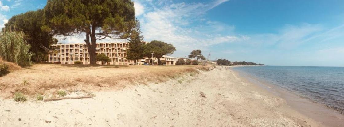 Studio bord de mer - Piscine - Plage San-Nicolao Esterno foto